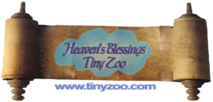 Heavne's Blessings Tiny Zoo